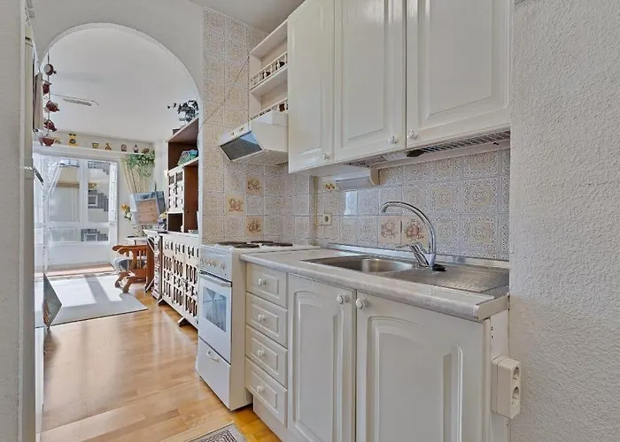 Bougainvillea * フエンヒロラ