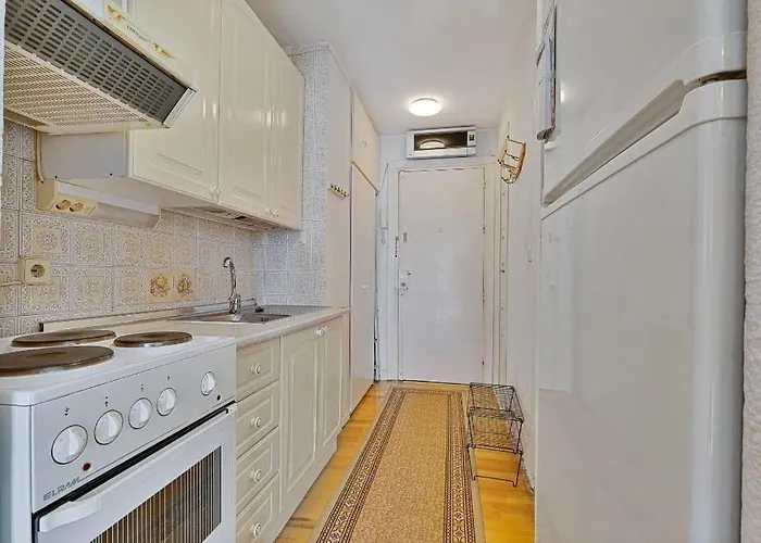 Bougainvillea * フエンヒロラ