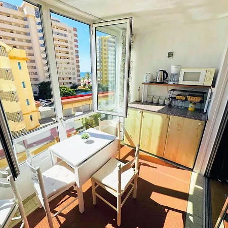 Bougainvillea 푸엔히롤라