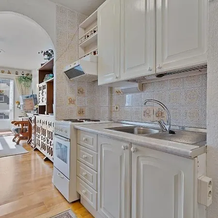 Bougainvillea * 丰希罗拉