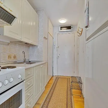 Bougainvillea * 푸엔히롤라