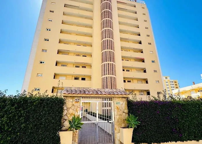Bougainvillea * Fuengirola